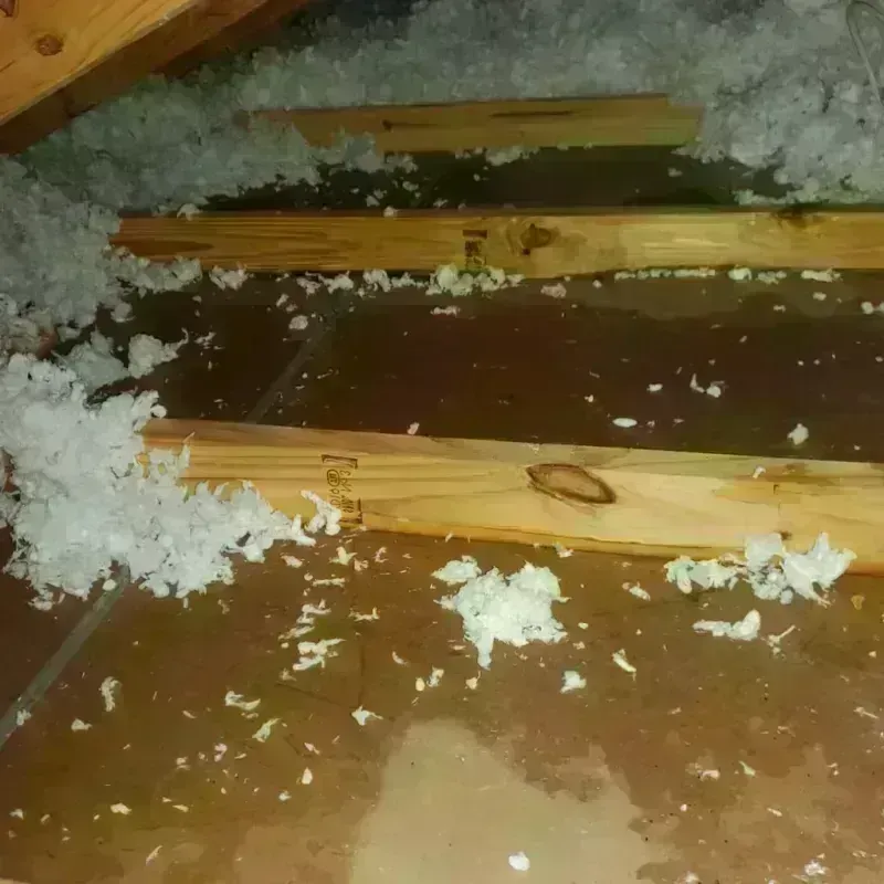 Attic Water Damage in Bridgeport, AL