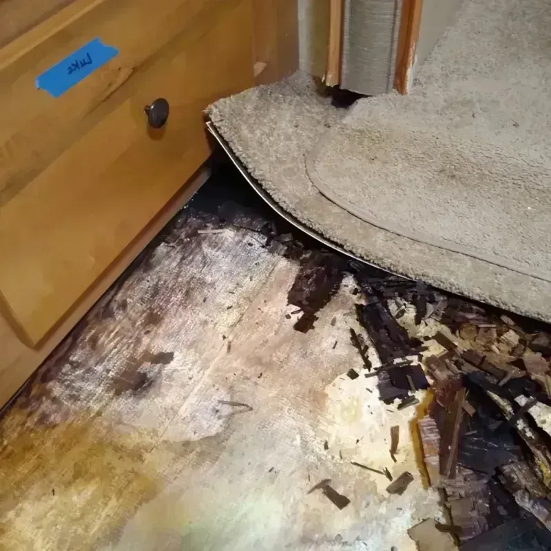 Wood Floor Water Damage in Bridgeport, AL